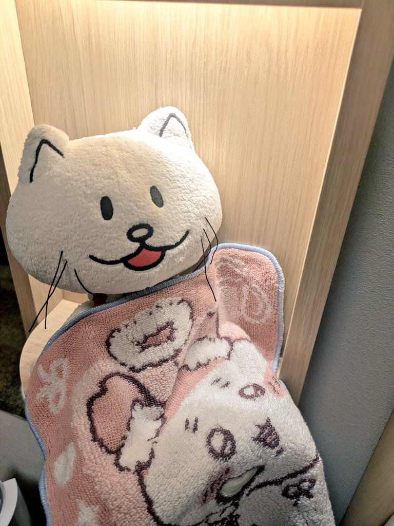 しゃけた🍞ライブ枯渇 tweet media