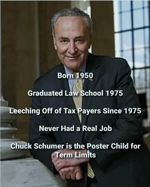 SaltyGoat tweet media