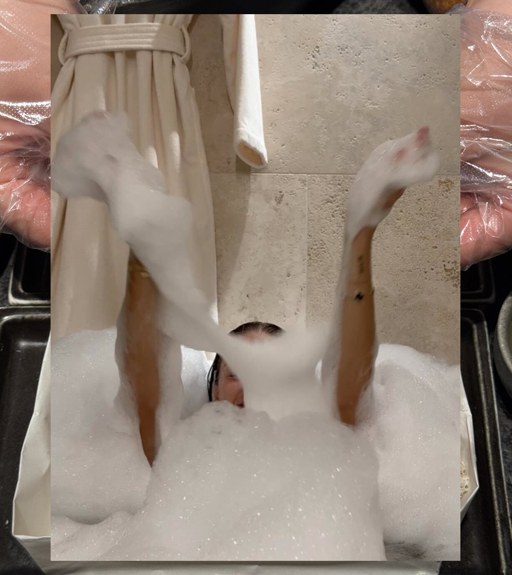 Sean Frey tweet media