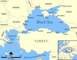 truth forall tweet media