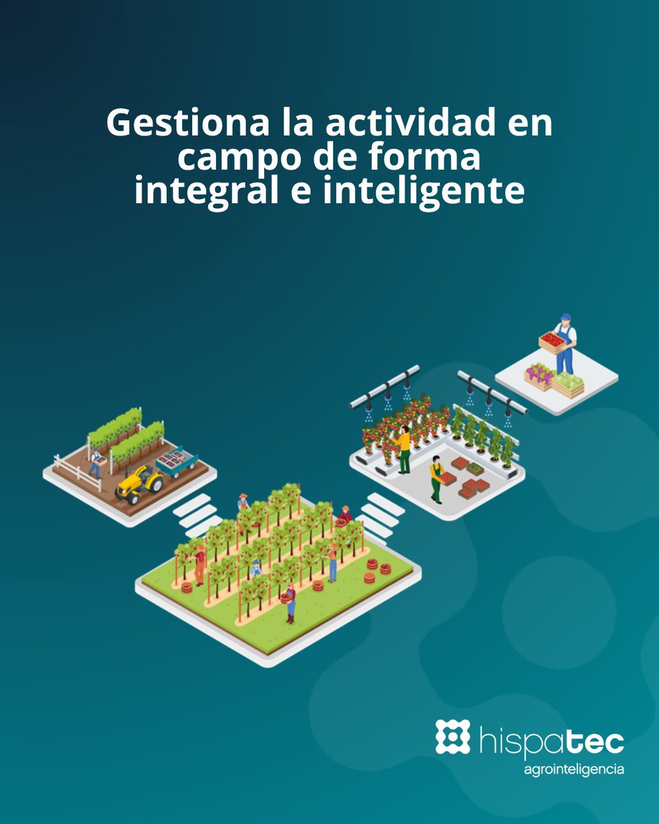 HispatecAGRO's tweet photo. 📊 #Efemis: la inteligencia detrás de tu gestión #agroalimentaria 🌱
Con #Efemis, digitaliza y optimiza toda la cadena agroalimentaria. Desde la planificación y el control de cultivos, hasta la toma de decisiones basada en datos.
🔗 https://t.co/DQdtEZp4Jl https://t.co/x8RI7ZbMBu