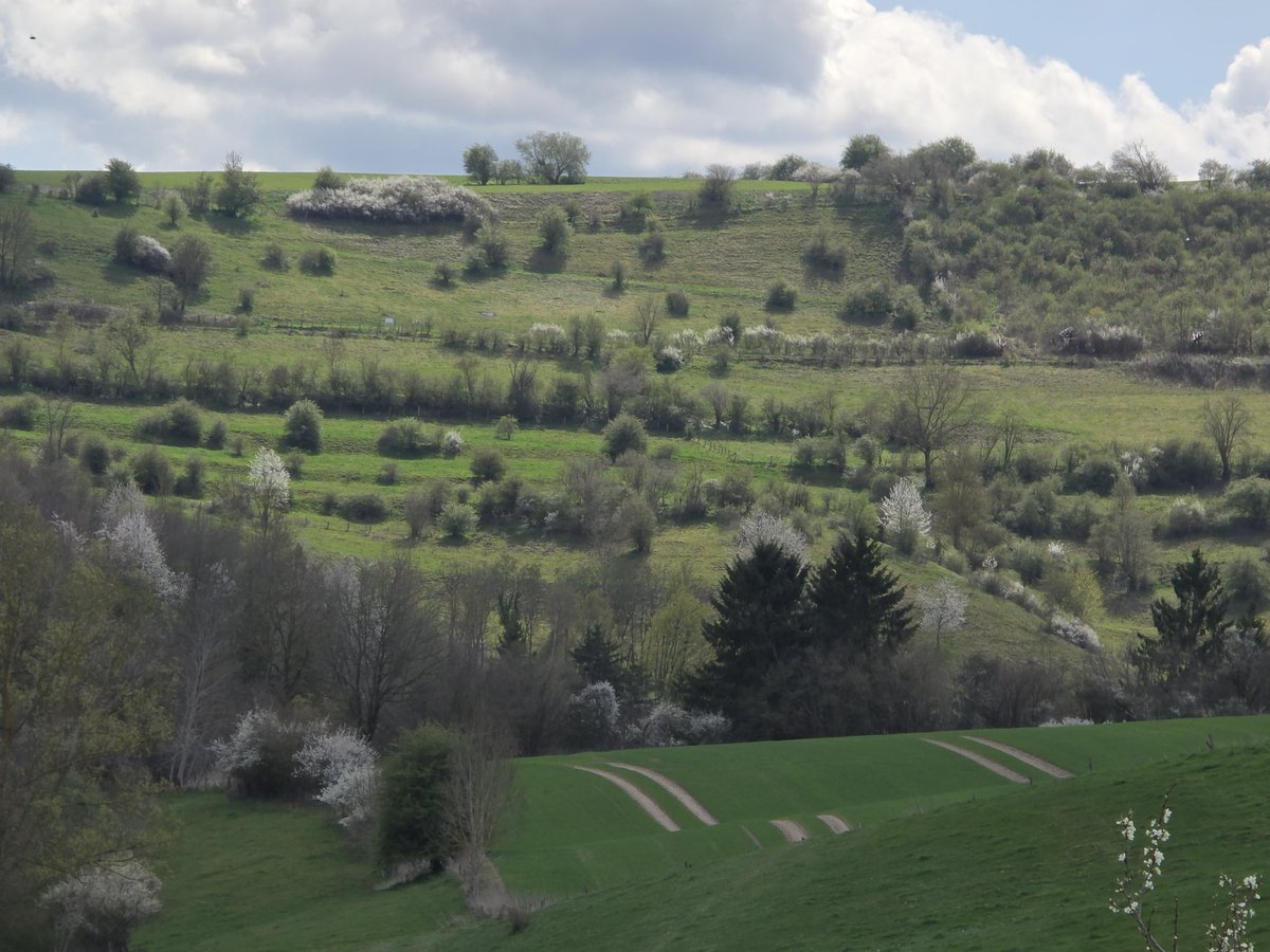 Stephan Luering 🇩🇪 tweet media