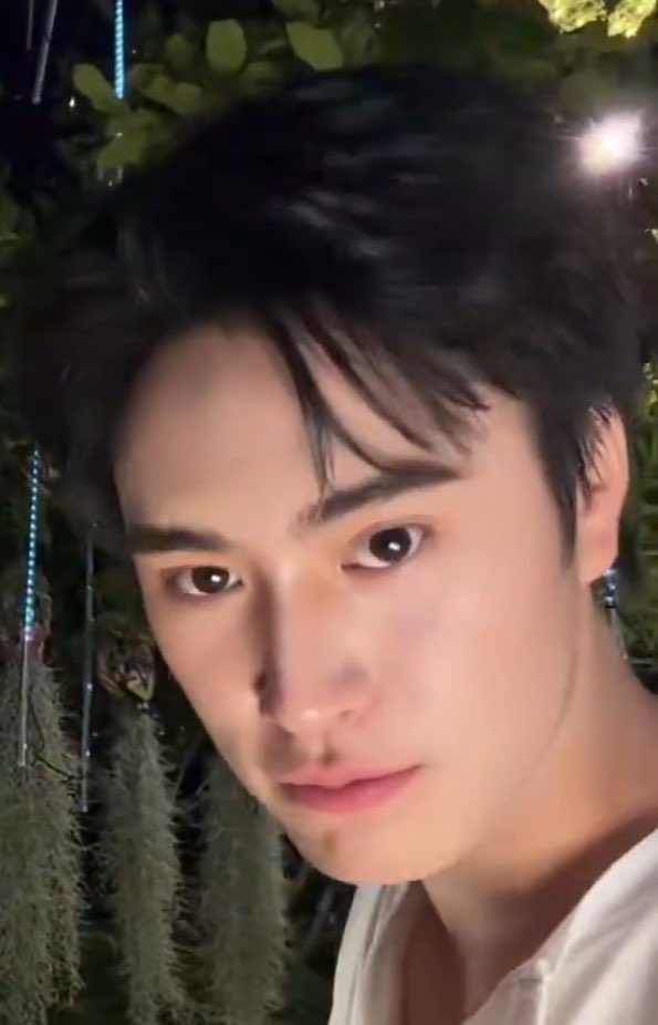 PiggybobooZ⋆౨ৎ˚ tweet media