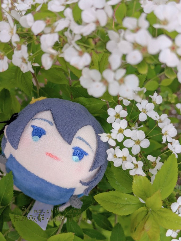 ひの🌸 tweet media