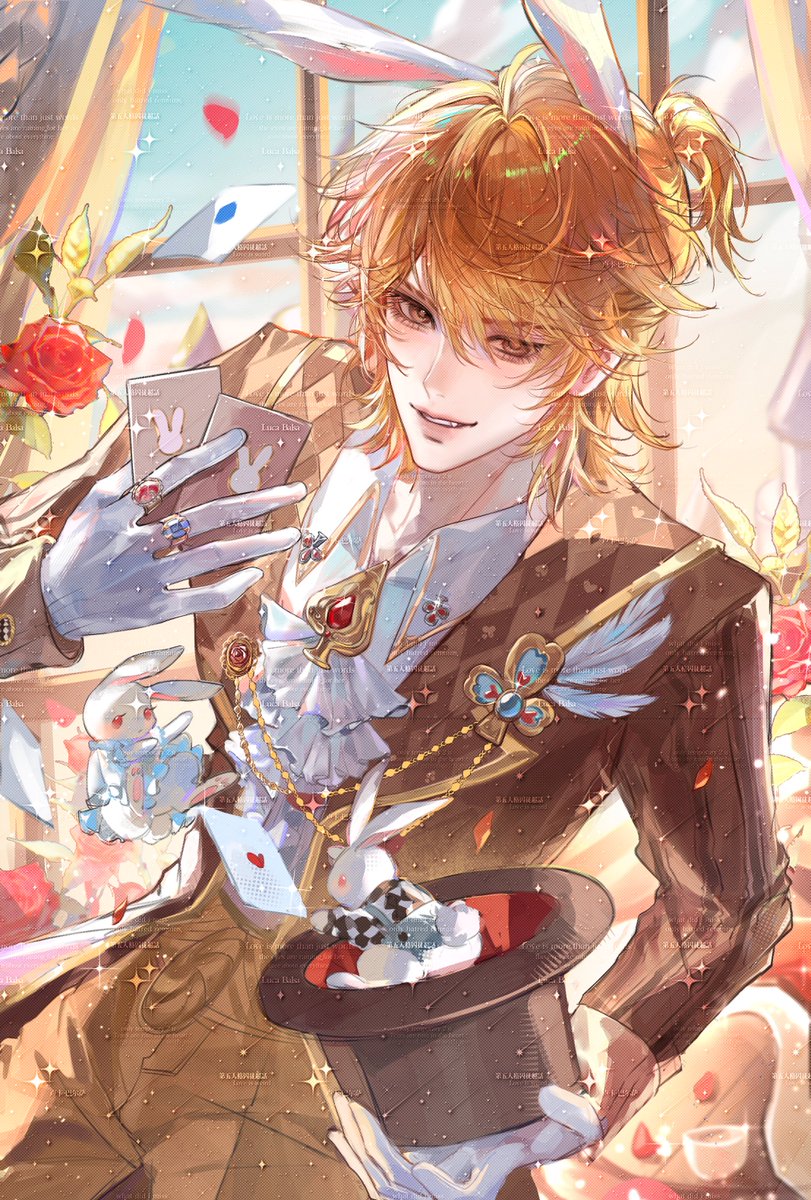 IDV-Luca Balsa-Fan Page tweet media