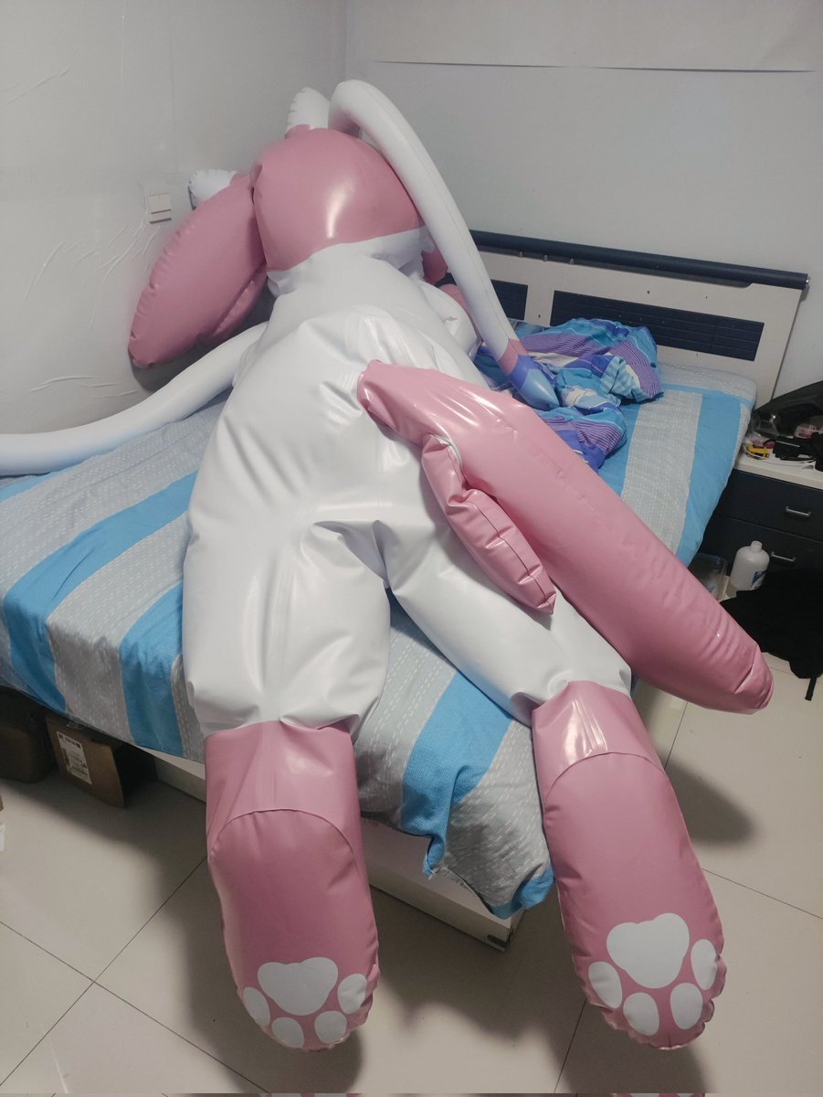 Leptailurus_Yue tweet media