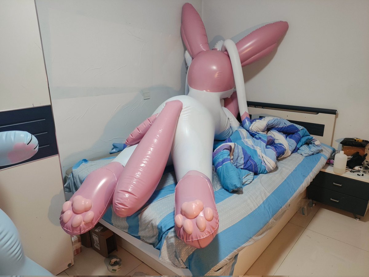 Leptailurus_Yue tweet media