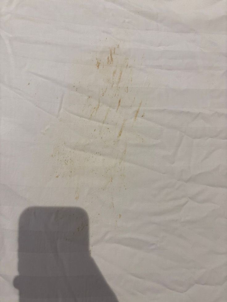 𝓢𝓶𝓾𝓻𝓴𝓲𝓸 ᯤ tweet media