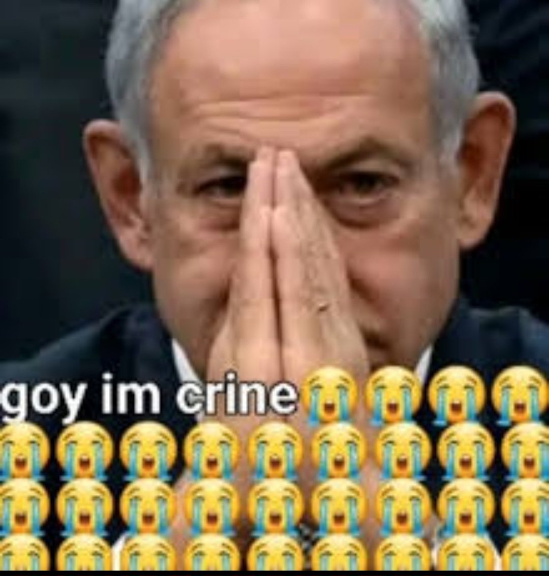 Good Goy Ginger tweet media