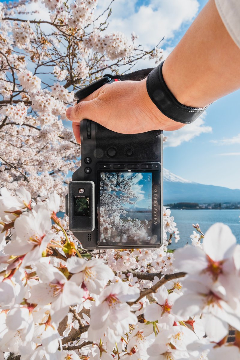 Hasselblad tweet media