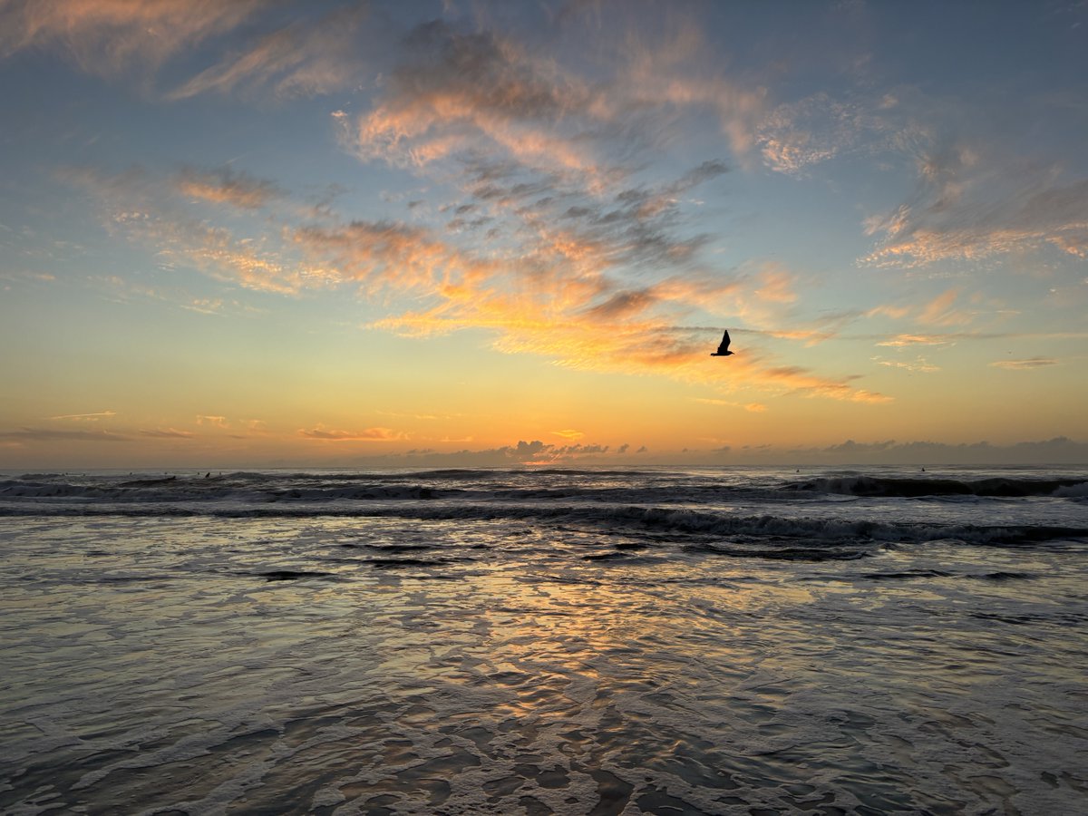 valkerie777's tweet image. Good morning from #Florida #sunrise #beachlife