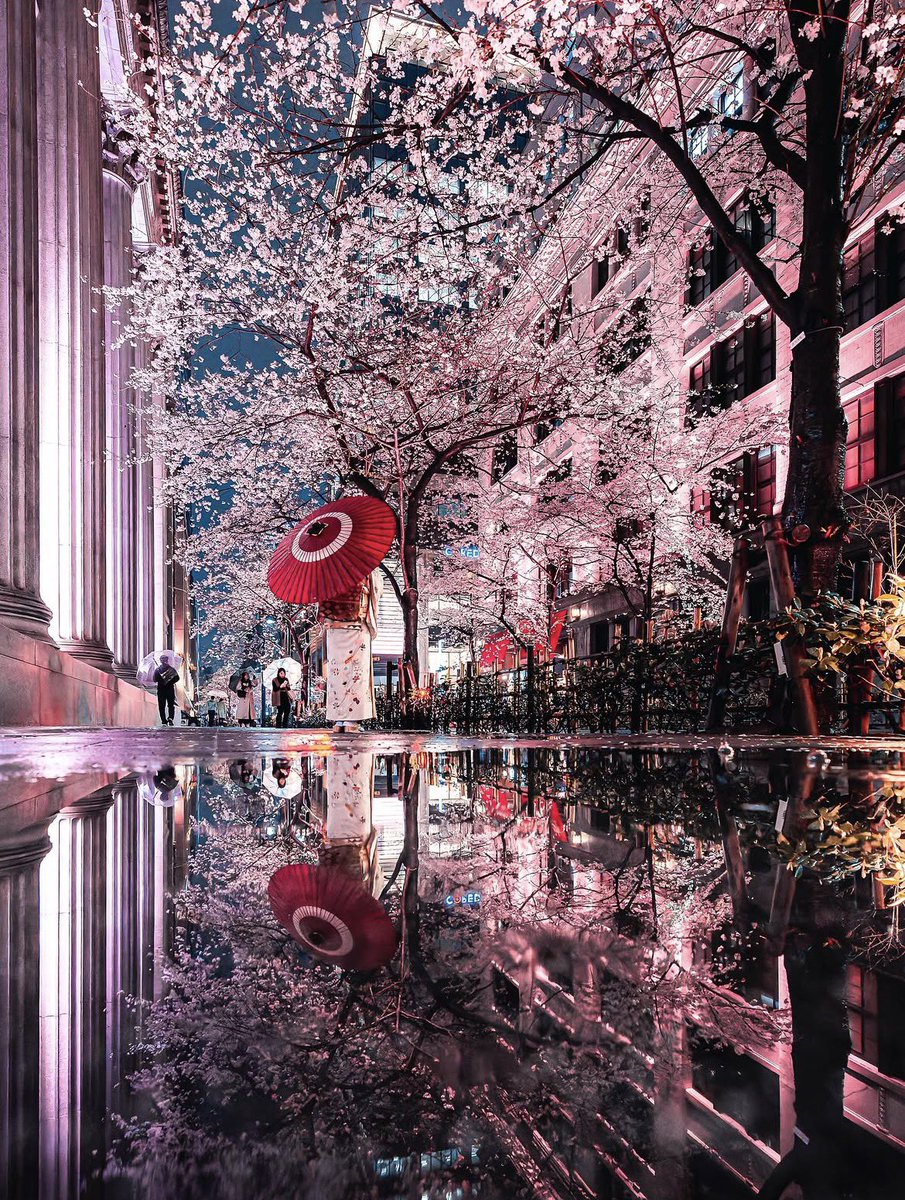 theglobalphotocommunity tweet media