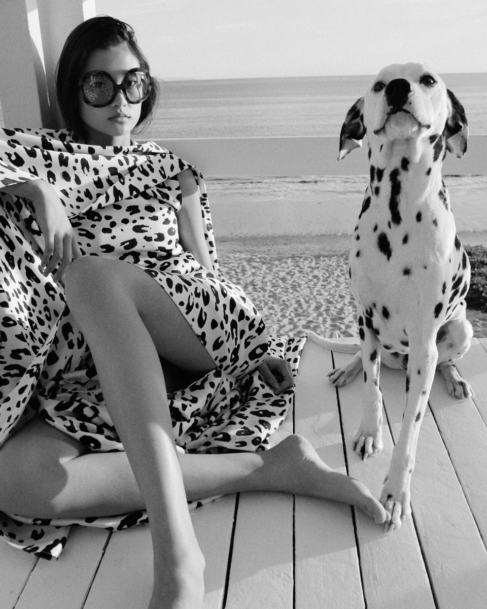 CELINE tweet media
