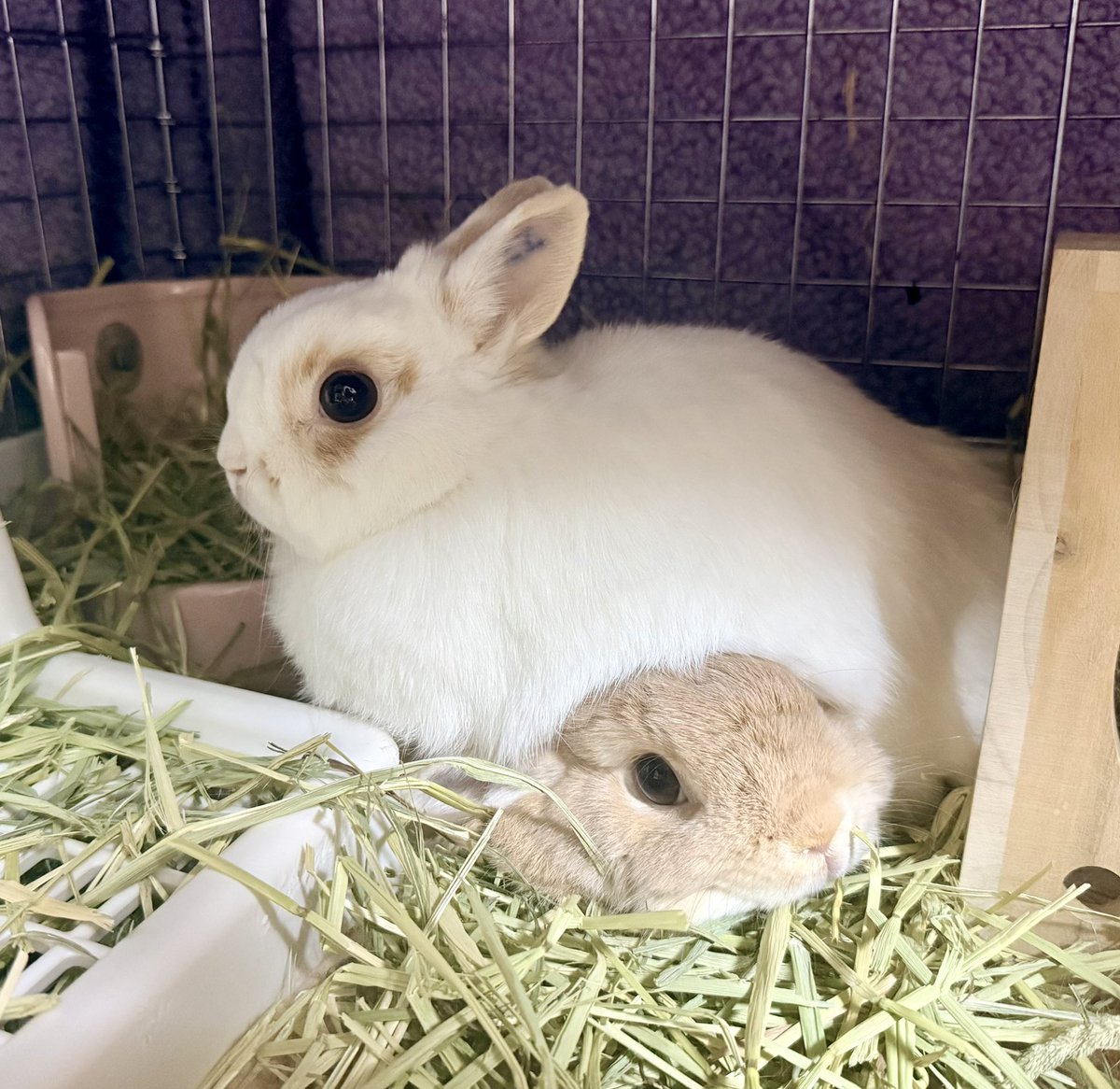 すずはそれでいいの??笑