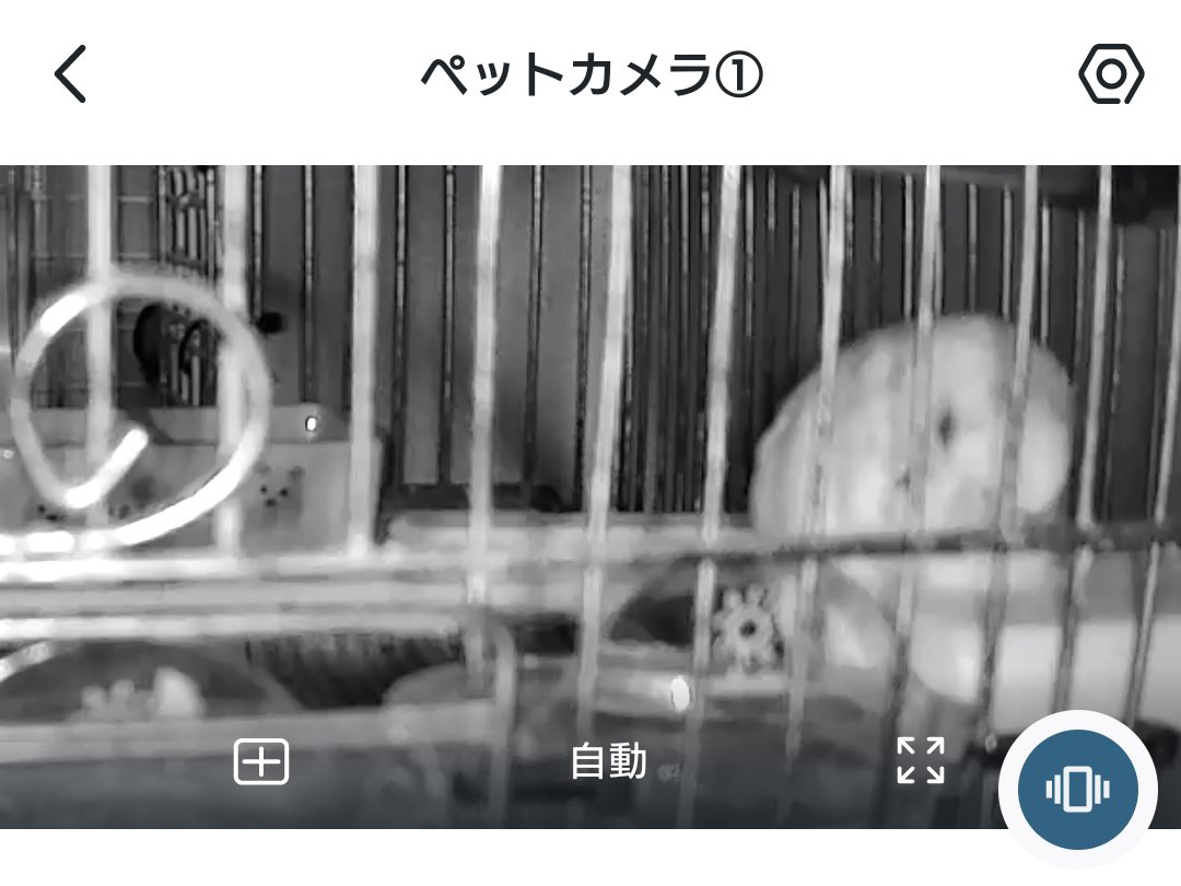 さすらいの路線バスドライバー tweet media