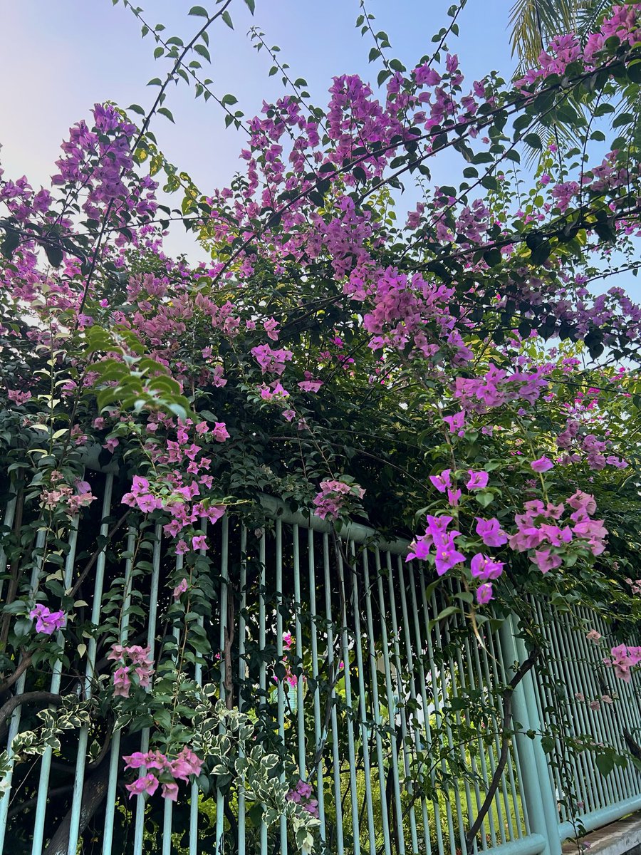 🐻🐻 tweet media