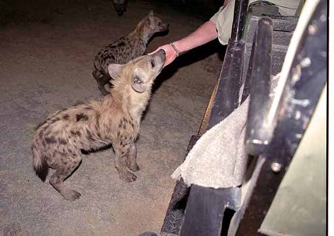 YensuThaYeen tweet media