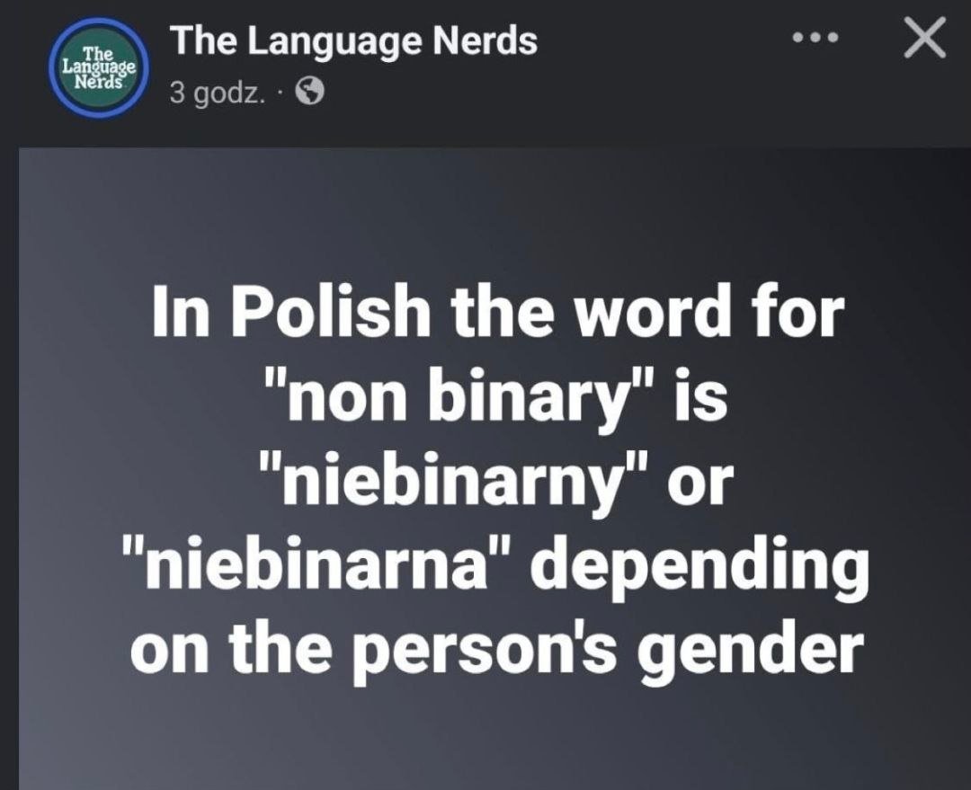 donald.pl tweet media