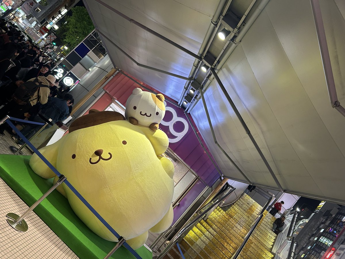 tubaCLAISS's tweet photo. シブヤ109にポムポムプリンが鎮座してました！

さすがにこのサイズはソファに迎えられないかも…？

#みてみてらでんちゃん https://t.co/XolF3mqXBA
