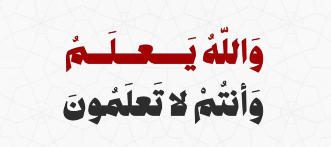 مصطفى2 (@mi4z8hwqmhpltgj) on Twitter photo 