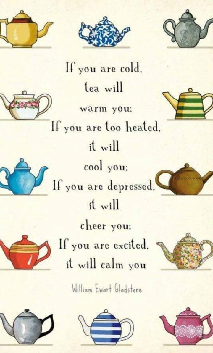 helen warlow tweet media