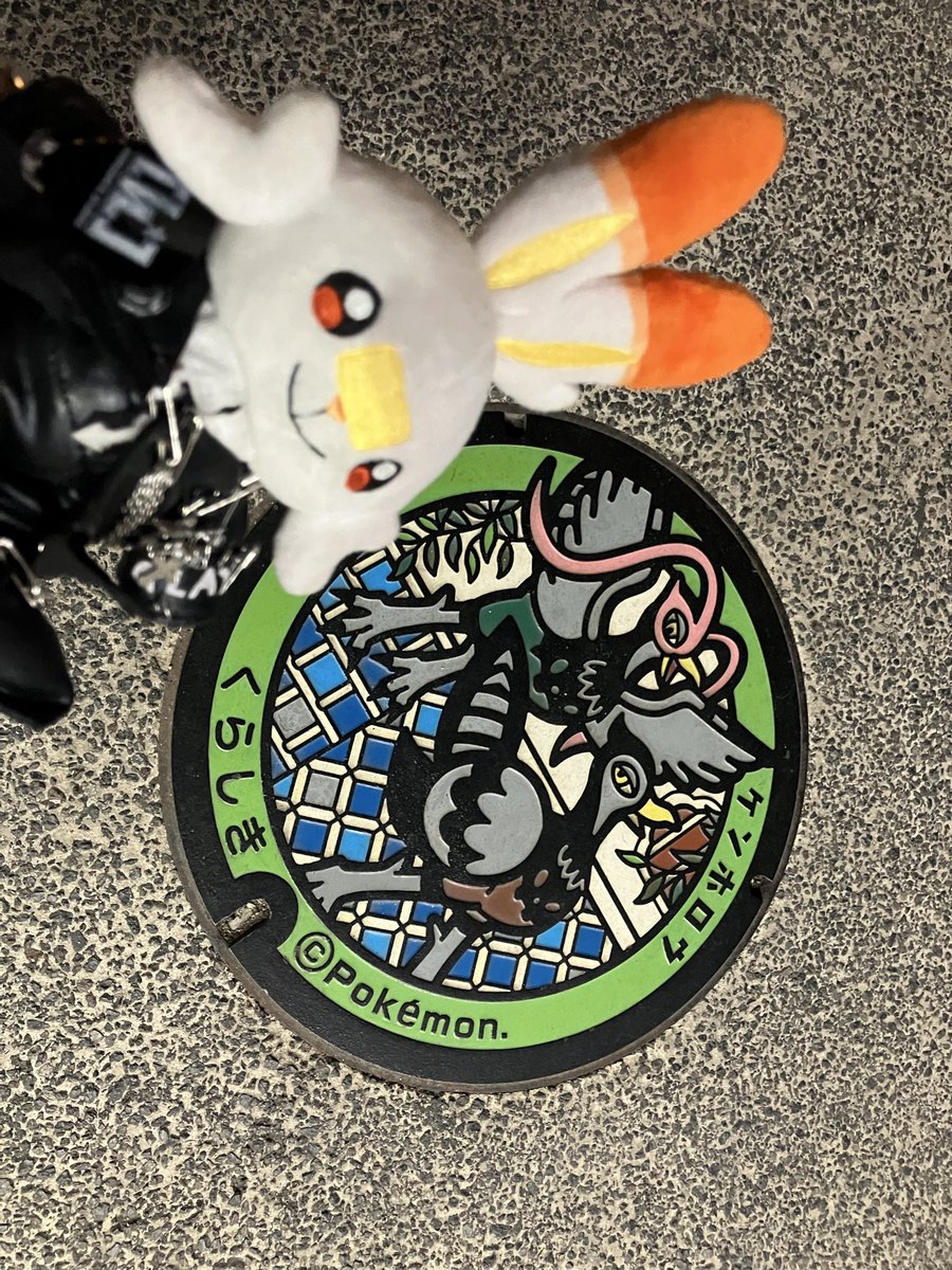 🐰シャム🌞✨ tweet media