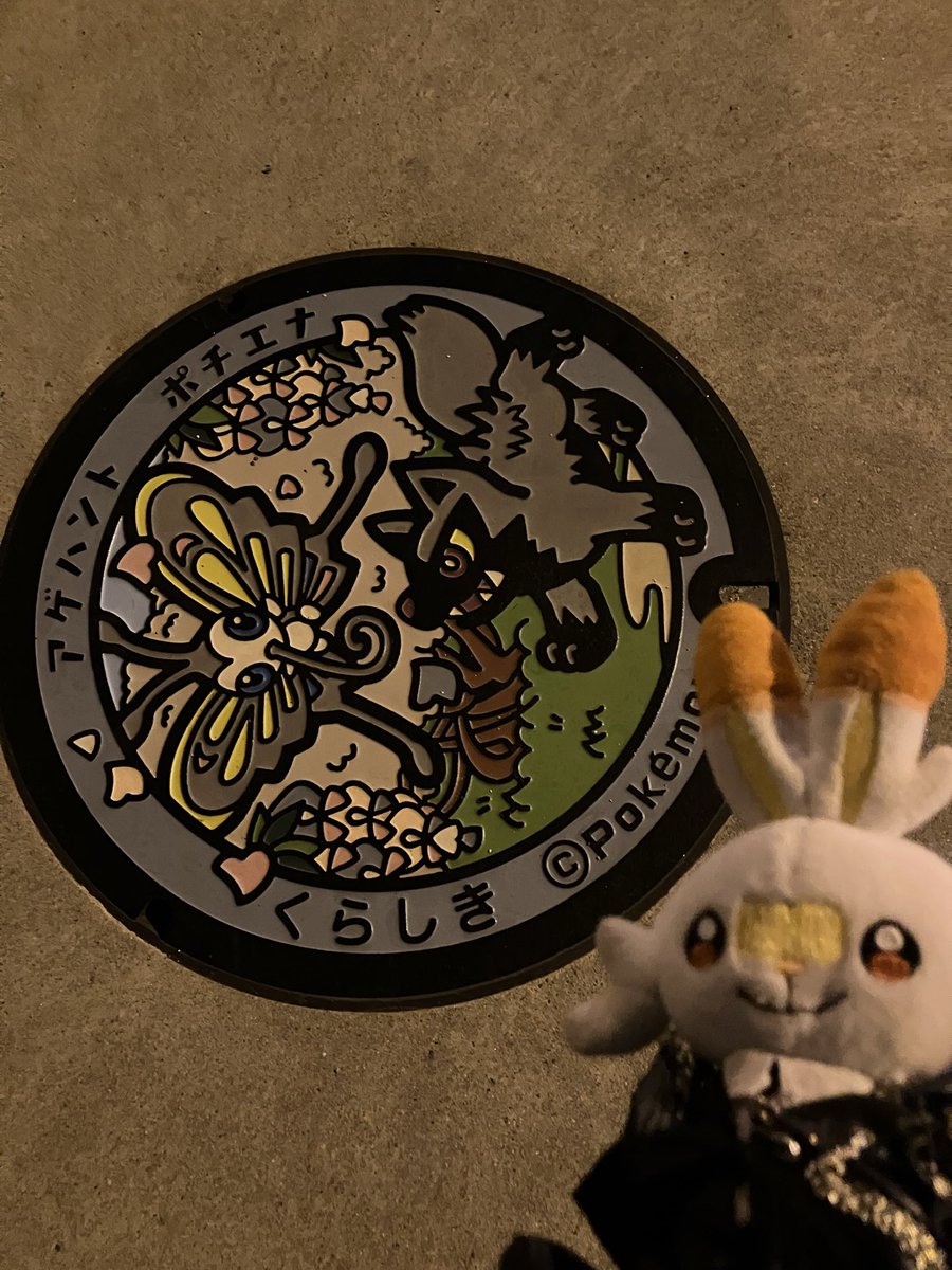 🐰シャム🌞✨ tweet media