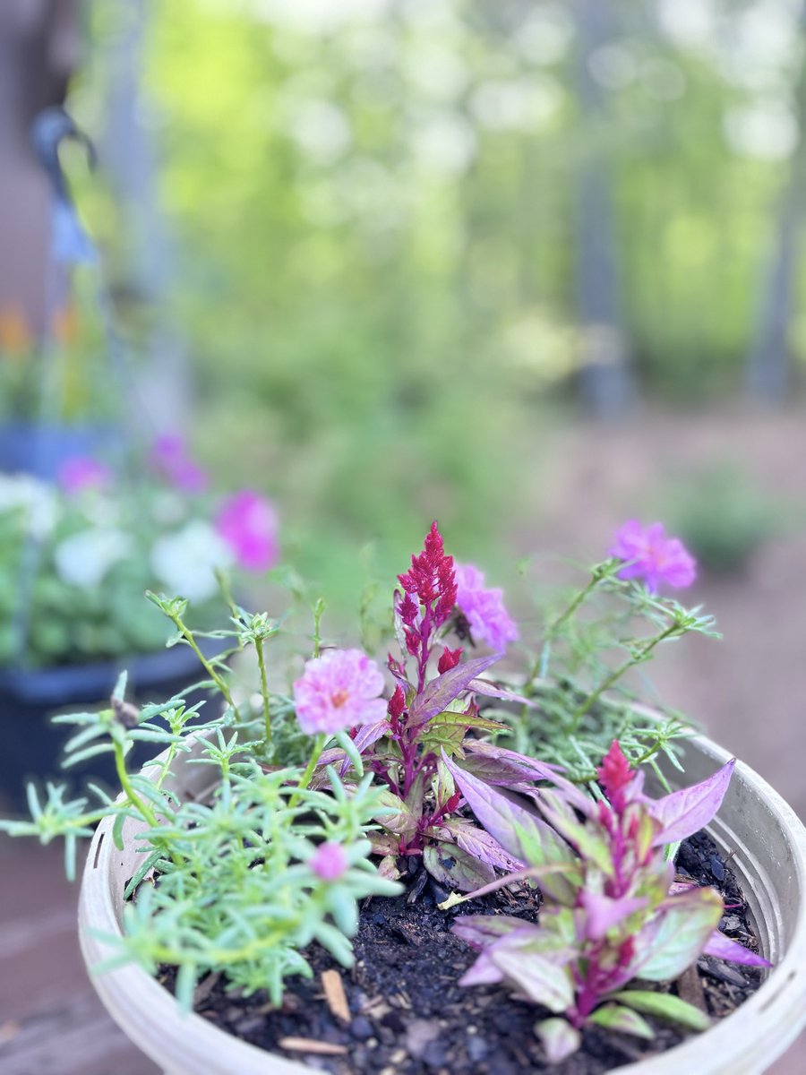 The Hobbit tweet media