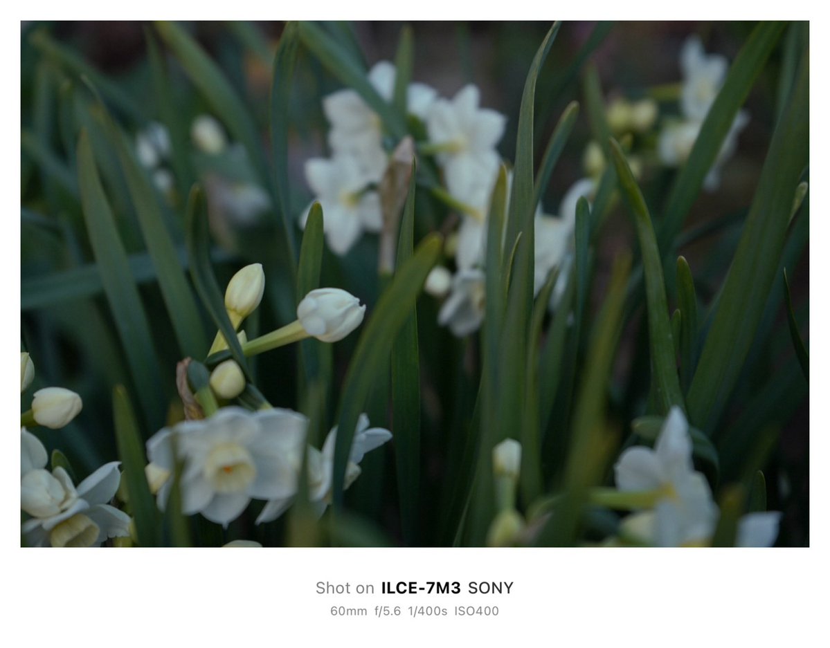 𝙆𝙄𝙍𝙄 tweet media