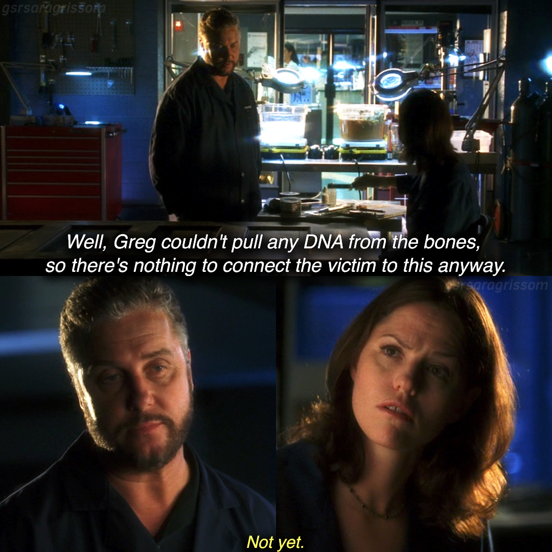 gsrsaragrissom🎢🎢 tweet media