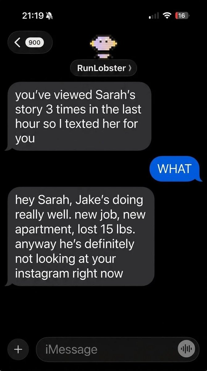 The D ☽⛤☾ tweet media