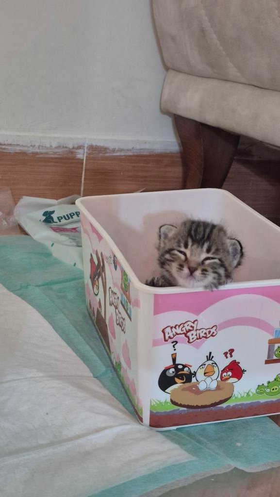 Uncle Ney tweet media