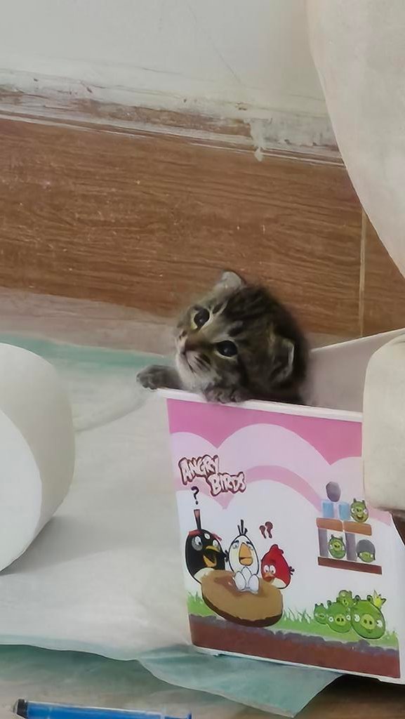 Uncle Ney tweet media