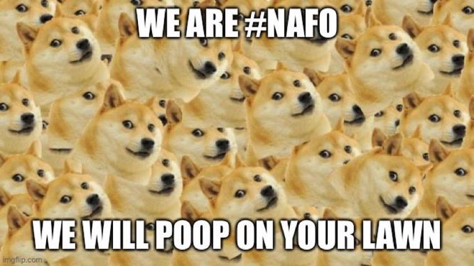 Gavril Ducu 🇷🇴🇩🇪🇺🇲🇳🇱🇪🇺@🇺🇦 tweet media