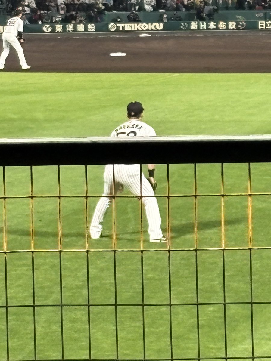 犬食べ食べ tweet media