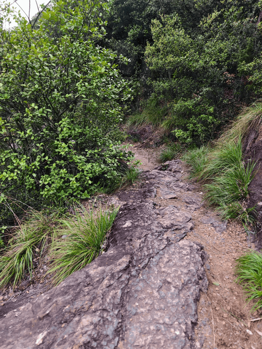 Sachintha bandara tweet media