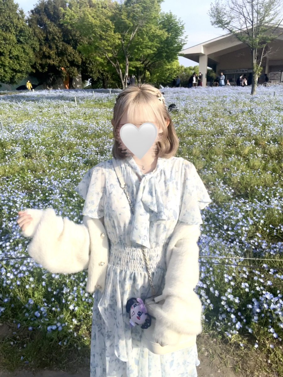 czqni2's tweet photo. 舎人公園のネモフィラ( ᖛ ̫ ᖛ )🍡🩵 https://t.co/bLWXKCOI8L