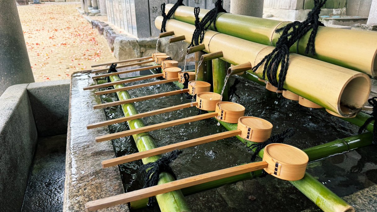 ctkr_410's tweet photo. 4/15石切劔箭神社　春季大祭
宝物館開放だったので余光さん見てきた☺️とても好き❤️
雨だったから自然の色が濃かったよ🌿
次の日の古式弓道神事はとてもいい天気だったみたいでよかった https://t.co/B2M4OMNFDZ