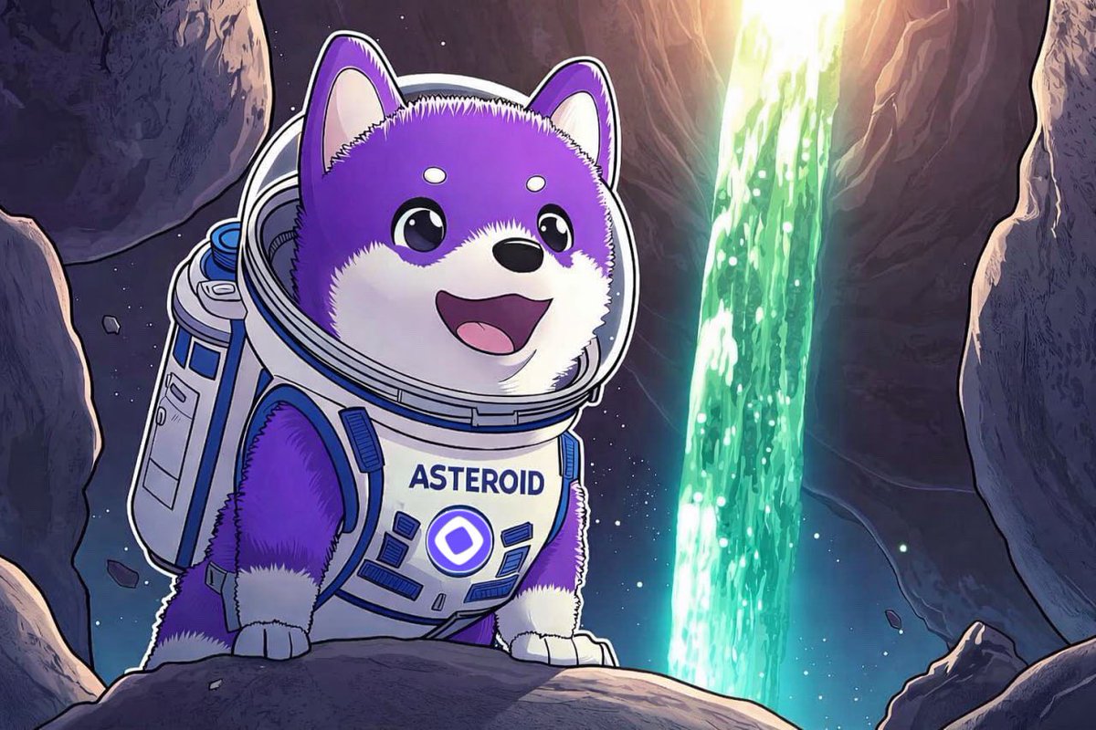 Asteroid Shiba on Mon tweet media