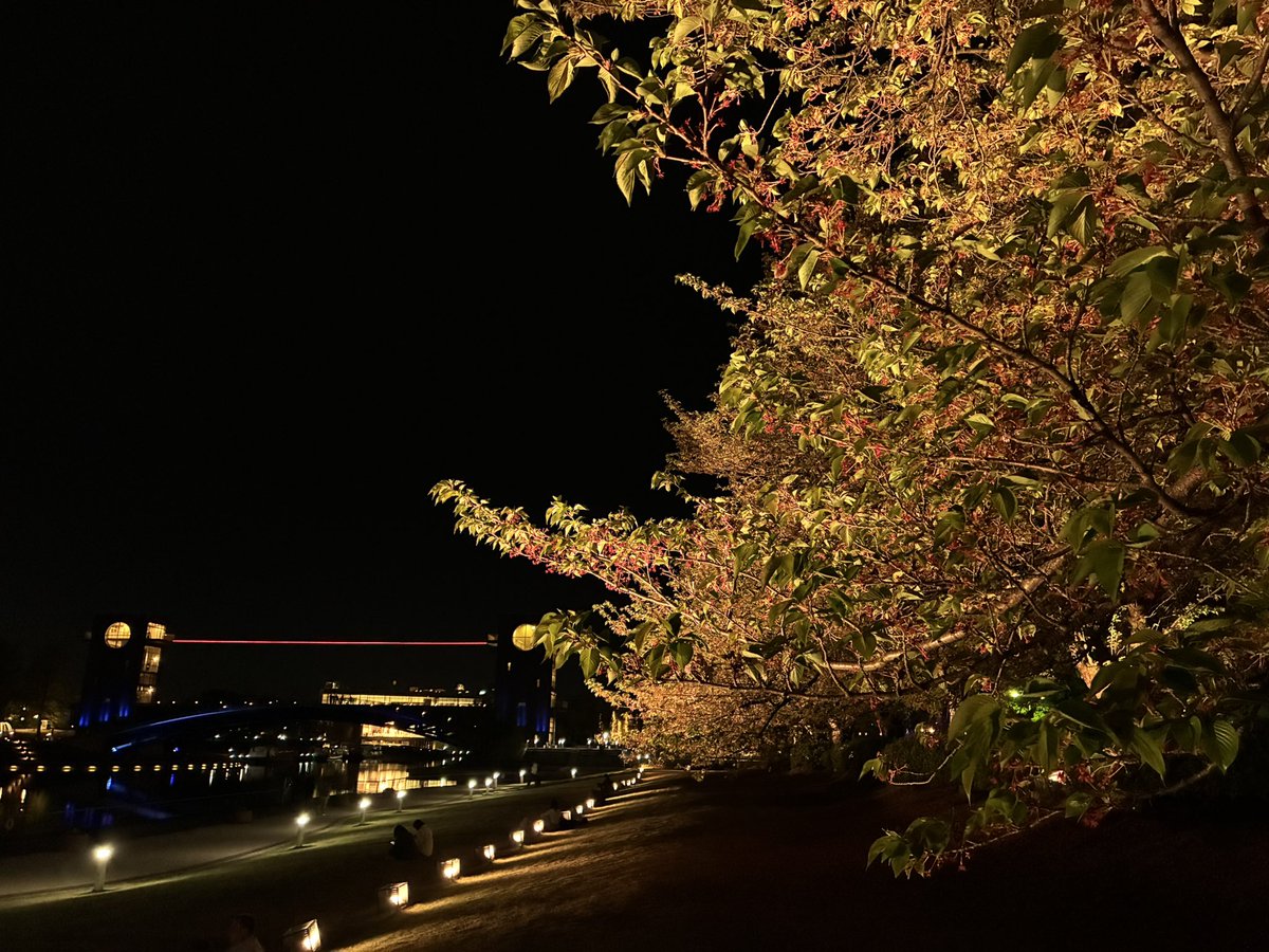 石川典行 tweet media