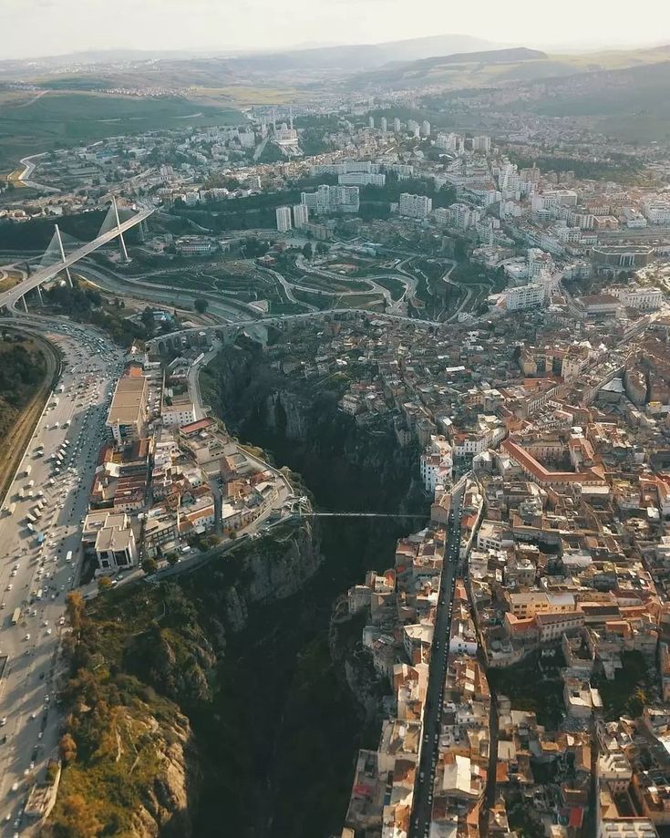 Algeria First 🇩🇿 tweet media