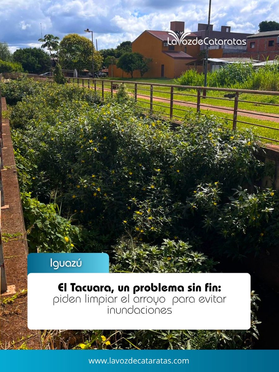 🔵Los vecinos advierten que uno de los principales problemas es que gran parte del arroyo se encuentra cubierto por vegetación, lo que reduce su capacidad de escurrimiento. 
➡️lavozdecataratas.com/2026/04/17/el-…