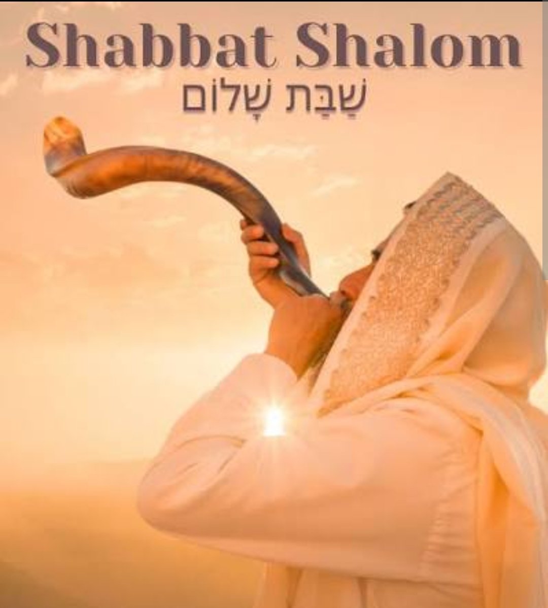 Yoav Kaufman 🇮🇱 tweet media