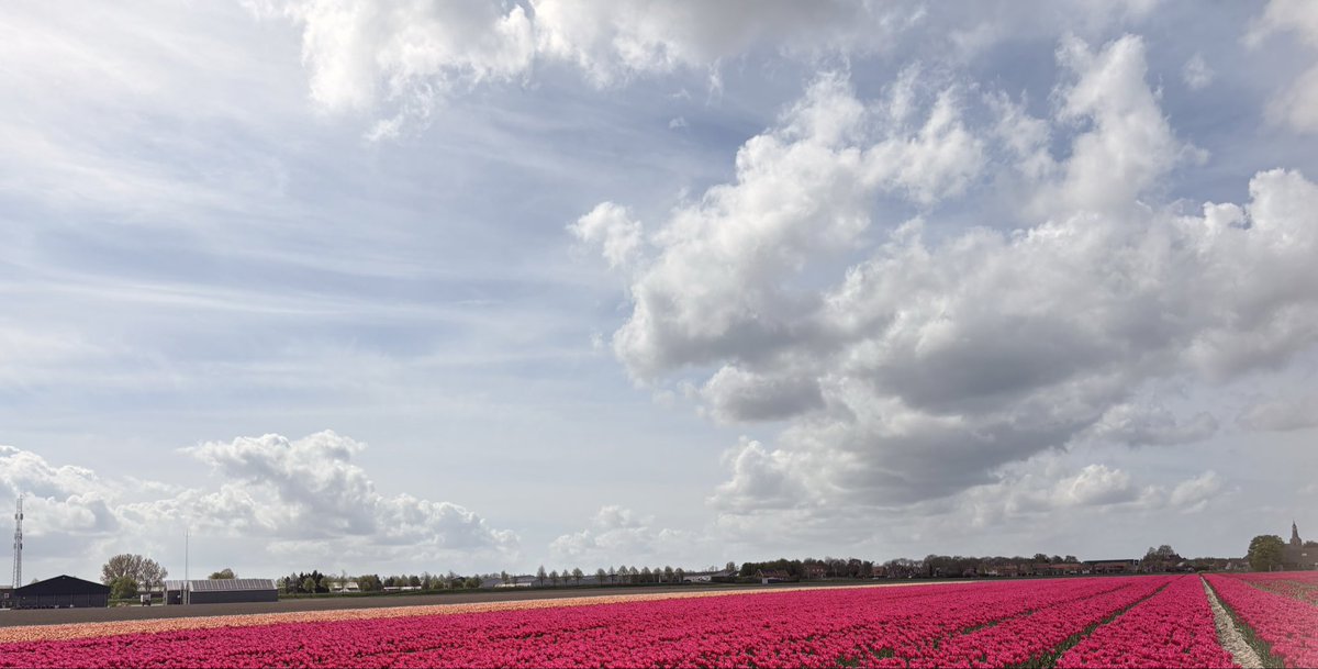 Saskia 🙋🏼♀️ Het wolken vrouwtje ☁️ tweet media