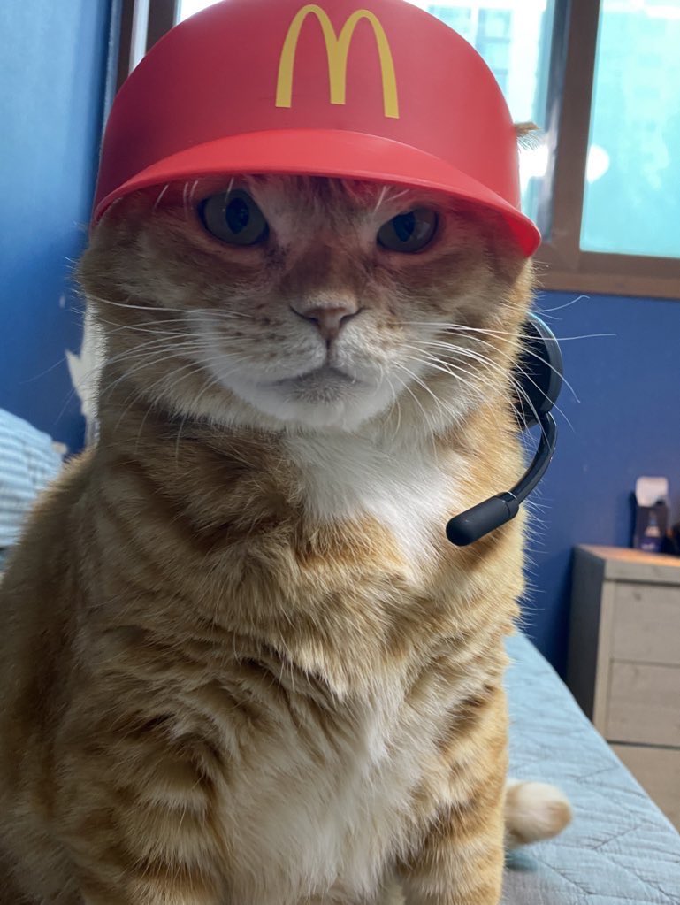 쉬시턴 Selynn Lee tweet media