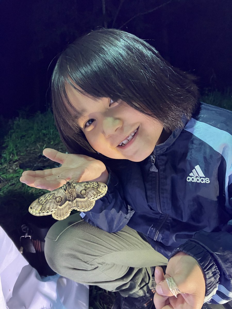 かなた昆虫採集中 tweet media