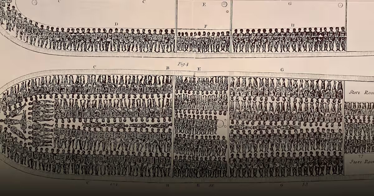 Strickschal tweet media