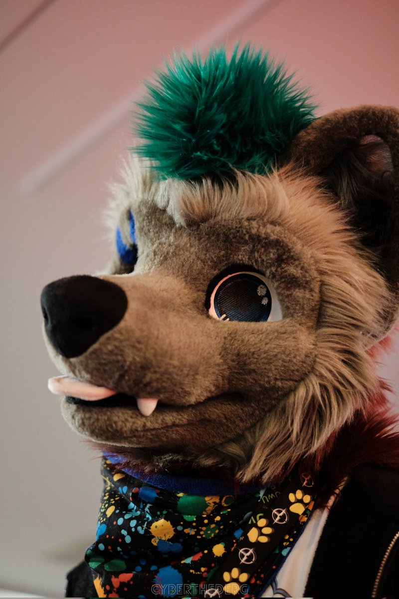 WhySky9's tweet photo. Look at the Birthday Boy on Fursuit Friday ^^ wish you an nice weekend 

🪡 SergNDerg 
📸 @CyberTheDerg

#fursuit #furryfandom #FursuitFriday #fursona #furry https://t.co/Tas8Kgz4Sa
