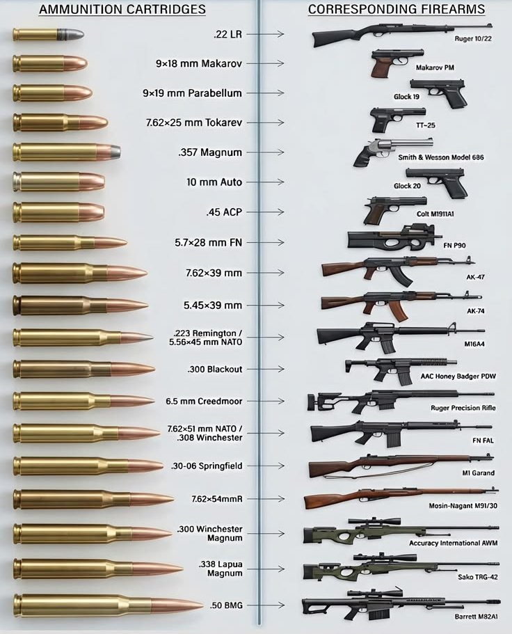 Worth_Knowin's tweet photo. Most Popular and Widely used Calibers and their Firearms . https://t.co/SwHxGgFqVy