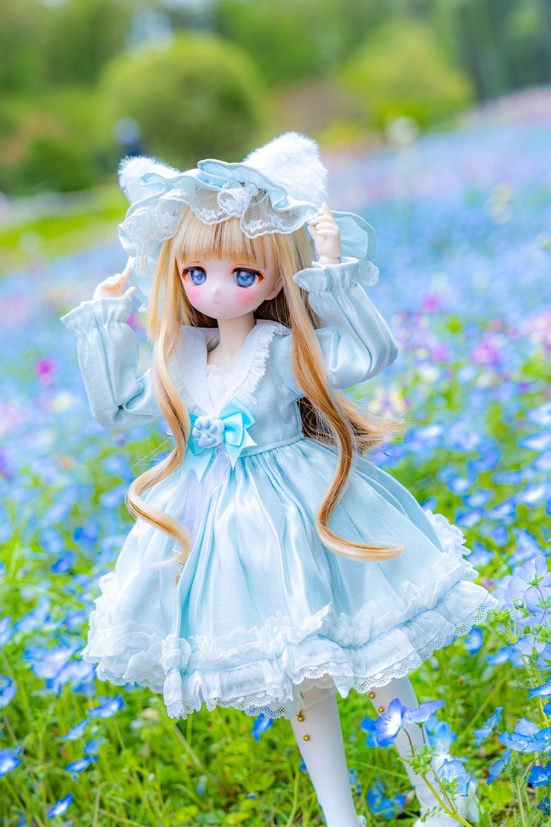 🐈Baby Blue Eyes Fairy🐈️

#luckystarっ子 #木茶動物園